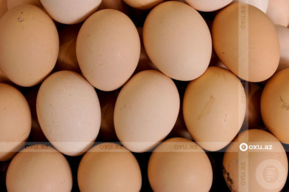 Производители отреагировали на информацию о повышении цен на яйца в Азербайджане